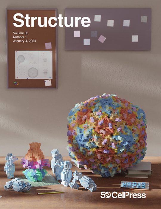 Capa da revista científica Structure com capsideo de um vírus representado por peças de lego sobre uma mesa de madeira em frente a uma parede com quadro